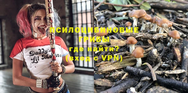 ешки Алзамай